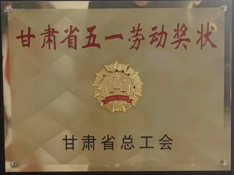 公司召開(kāi)二屆十一次職代會(huì)、黨委擴(kuò)大會(huì)、第三十四次股東會(huì)